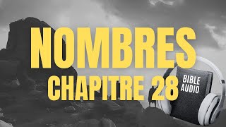 NOMBRES 28  LA BIBLE AUDIO avec textes [upl. by Mathre]