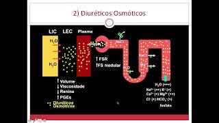 Farmacologia Diuréticos  parte 1 [upl. by Anawk]