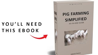 The Guide You Need to Start A Profitable Pig Farming Business [upl. by Sayres]