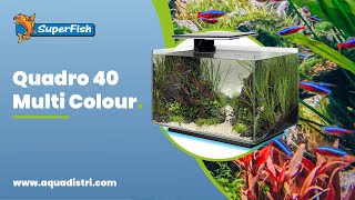 SuperFish  Quadro 40 Multi Colour [upl. by Segal727]