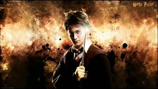 Harry Potter Soundtrack  Hedwigs Theme Main Theme [upl. by Rufina]