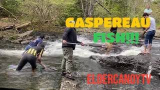 GASPEREAU FISH ADVENTURE HALIFAX NOVA SCOTIA CANADA [upl. by Mitchell]