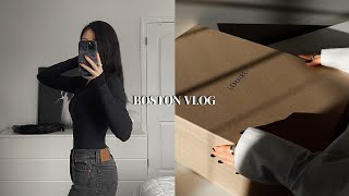 How I stay healthy  House update with aesthetic items  Lemaire Croissant bag Boston vlog [upl. by Lauree430]