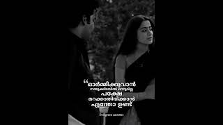 evergreen malayalam movie thoovanathumbikal malayalam whatsapp status youtube shorts [upl. by Starks]