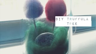 DIY Lorax Truffula Tree [upl. by Anura]