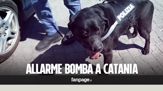 Allarme bomba al Tribunale di Catania in azione il cane Andy [upl. by Eannyl]