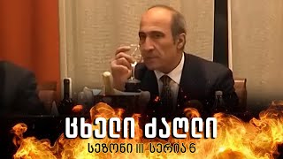 ცხელი ძაღლი  სეზონი 3 სერია 6 [upl. by Tim]