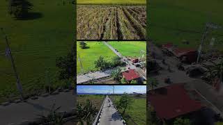 Cabuyao Laguna drone travel nature [upl. by Grimbal]