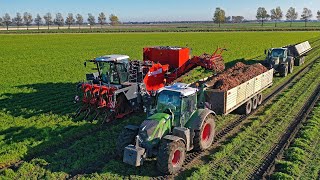 XXL Harvest Special  Franzen Agriculture  Potatoes amp carrots  Planting tulips amp wheat [upl. by Hcirdla545]