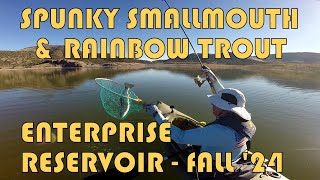 Spunky Smallmouth amp Rainbow Trout at Upper Enterprise Reservoir Fall ‘24 [upl. by Cataldo215]