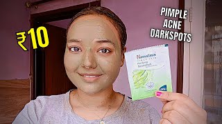 ₹10 Himalaya Purifying Neem Pack review  facepack for pimples acne amp darkspots  himalaya facepack [upl. by Brigitta445]