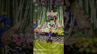 bankebihari vrindavan darshan aarti shortfeed shorts krishna krishnalove krishnabhakti [upl. by Weismann]