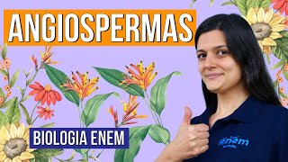 ANGIOSPERMAS veja as características destas plantas RESUMO DE BIOLOGIA ENEM Profa Claudia Aguiar [upl. by Jovitta]