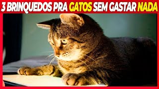 OS 3 MELHORES brinquedos para Gatos Como fazer brinquedos pra gatos [upl. by Azzil]