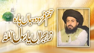 Tanam Farsooda Jaan Para  naat by Muhammad Haris Chisti  Hafiz Muhammad Saad Hussain Rizvi [upl. by Enelrak815]