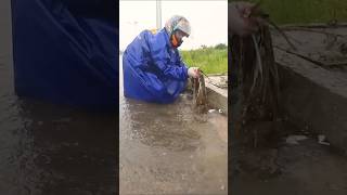 Remove Trash And Debris Clog On Road unclog flashflood clogged flood satisfying [upl. by Siwel]