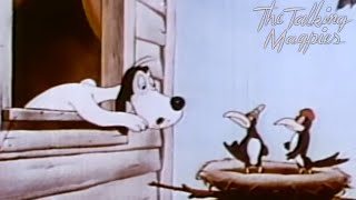 The Talking Magpies 1946 Terrytoons Farmer Al Falfa Cartoon Short Film  Review [upl. by Oniger984]