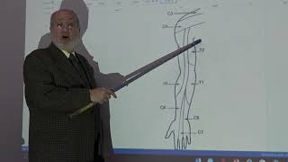 Anatomy of upper limb 62  Dermatomes amp myotomes   by Dr Wahdan [upl. by Drazze955]