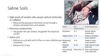 Soil Salinity [upl. by Hairabez62]