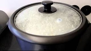 How To Make Rice Using The Black And Decker Rice Cooker [upl. by Charlotta232]