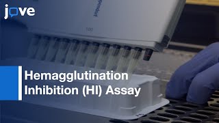 Hemagglutination Inhibition HI Assay to Quantify Influenza Antibodies [upl. by Ahsait]