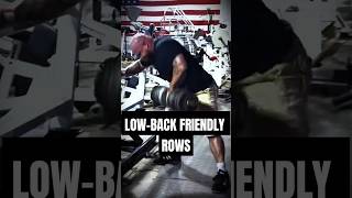 Best Lower Back Friendly Rowing Movements [upl. by Dustie]