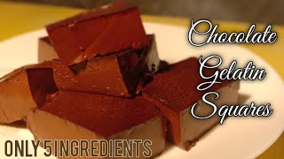 Chocolate Gelatin Squares  Chocolate Recipes  Gelatin Recipes [upl. by Yajiv]