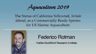 Federico Rotman California Yellowtail Seriola lalandi Aquaculture [upl. by Posehn766]