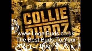 Serious  PlayBack  Collie Buddz  Reggae Lovers 2011 New [upl. by Lonny]