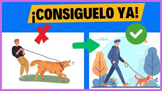 🐶✅Cómo Hacer que tu Perro Deje de Ladrar en 5 Pasos Simples✅🐶 [upl. by Aleron]