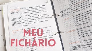 COMO ORGANIZO MEU FICHÁRIO [upl. by Germaun651]