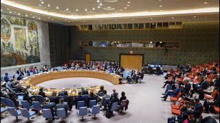 IsraelPalestine I Security Council vote on new resolutions  United Nations [upl. by Dustman]