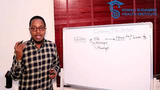 Lecture 19 carcinoma of the stomach  afsomali [upl. by Rempe642]