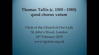 Tallis quod chorus vatum [upl. by Gwenneth]