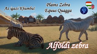 Az igazi Khumba  Tudtad 125  Planet Zoo  Alföldi zebra [upl. by Nnaed385]