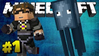 Minecraft I KILLED SKYDOESMINECRAFT Weapons Mod Vs Sky amp Squids YouTuber Destruction 1 [upl. by Amargo]