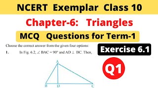 NCERT Exemplar  Class 10 Maths  Chapter 6 Triangles  Exercise 61  Question 1  MCQ Term 1 [upl. by Asirret]