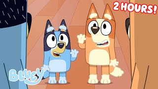 Bluey Seasons 1 2 and 3 FULL EPISODES 💙  Unicorse Faceytalk Pass the Parcel and More  Bluey [upl. by Zirtaeb235]