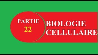 Cours biologie cellulaire partie 22 fin chloroplaste  البيولوجي بالدارجة [upl. by Mariel428]