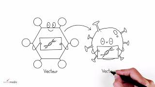 Le fonctionnement dun vaccin à vecteur [upl. by Kinnon603]