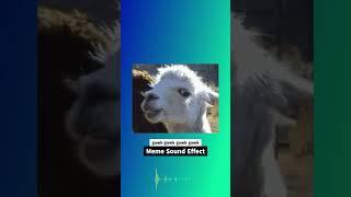 gawk gawk  Meme Sound Effect [upl. by Bena82]