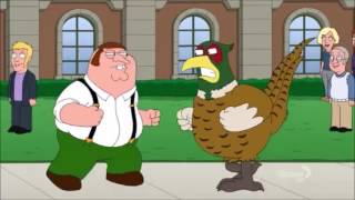 Family Guy British Peter vs The Pheasant [upl. by Amathist]