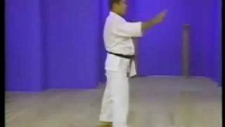 Karate Kata Goju Ryu Seisan perfectly executed from Sensei Morio Higaonna [upl. by Valtin]