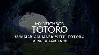 REVIEW PHIM HÀNG XÓM CỦA TÔI LÀ TOTORO  MY NEIGHBOR TOTOROM  SASUKE ANIME [upl. by Odlanir]