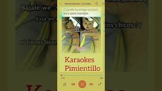 LOS AMANTES KARAOKE PANCHO BARRAZA [upl. by Dielu]