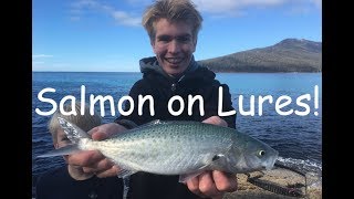 HOW TO CATCH AUSTRALIAN SALMON ON LURES Wineglass Bay Tasmania [upl. by Bradwell]