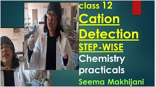 NEETJEE mains 2024 CATIONSTEP WISE in 15 minutes 2024 Chemistry PracticalsCBSE Class 11and12 [upl. by Htiduj]