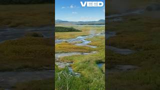 Hidden Danger Exploding Lake Nyos Revealed 💣💥 NaturalDisasters LakeNyos Danger [upl. by Zoi]