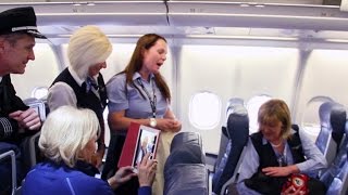 Passengers abuse rules to bring animals on planes [upl. by Nievelt768]