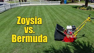 Zoysia Grass vs Bermuda Grass for Lawns [upl. by Ynner]